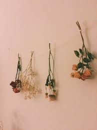 Indie Aesthetic Grunge Flowers Nature Vintage Tumblr Style Pale Https Weheartit Com Entry 325564500 Flower Aesthetic Dried Flowers Decor