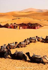صور المغرب أجمل صور المغرب ألبوم صور المغرب منتديات المغرب travel places to travel desert life