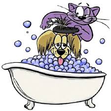 Parry sound , doubling as turtle island bay, is a small town located 150 miles north of toronto. Pet Grooming In Victoria Visitor In Victoria