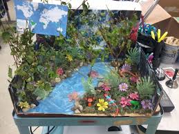 Biome In A Box Tropical Rainforest Tropical Rainforest Biome Project Biomes Project Rainforest Project Rainforest Crafts