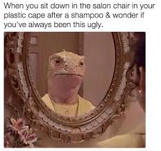 Animals Looked At Their Reflection 20 Funny Pictures Funnyfoto Funny Pictures Haha Funny Funny