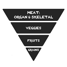 food energetics food pyramids the simple food project