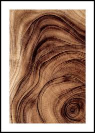 It is mainly formed by the xylem vessels which carry water up the plant. Nature Posters Online Wood Pattern Poster Posterstore Eu