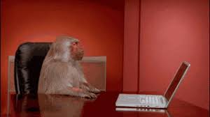The Story Behind Those Office Monkey Gifs That Are Suddenly Everywhere Quartz