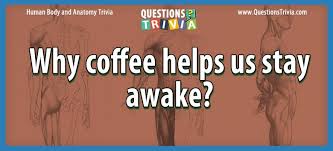Read on for some hilarious trivia questions that will make your brain and your funny bone work overtime. Question Why Coffee Helps Us Stay Awake