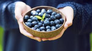 Im wald wachsen viele leckere beeren. Heidelbeeren Eine Gesunde Delikatesse