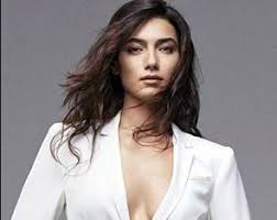 Anlaşmalı olarak başvuru yaptıkları için tek celsede boşanmaları beklenen çift, adliyeye birlikte gitti. Hande Subasi Facts Bio Favorites Info Family 2021 Sticky Facts