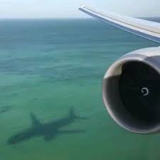 Qatar Airways Landing Aviation Video In 2020 Aviation Airplane Aviation Pilots Quotes Aviation