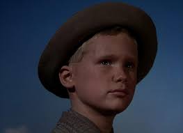 Shane (1953)