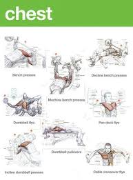 Workouts Mass Chest Workouts