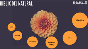 Dibuix del natural by Adrian Calles Trufero
