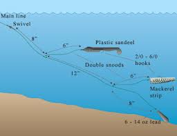 But if you are new, then you have to learn about the different rigs, hooks, bobbers, and sinkers and also some important. Boat Angling Rigs Fishing In Ireland Catch The Unexpected