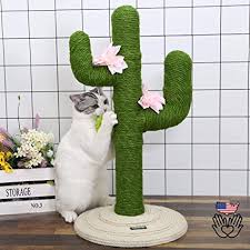 Cat climbing frame manytoo free sample factory cactus sisal cat climbing frame cat tower cat tree. Amazon Com Topkitch Cactus Cat Scratching Post And Climbing Frame Handmade 29 Pet Supplies Cactus Cat Cat Scratching Post Cat Scratching