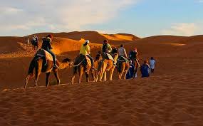 Desert Festival In Jaisalmer 2020 Festival In Jaisalmer Jaisalmer Desert Festival In India