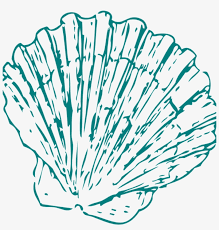 Seashell Clipart Greeen Sea Shell Clip Art At Clker Cartoon Seashell Transparent Background Free Transparent Png Download Pngkey Select from premium shell cartoon of the highest quality. seashell clipart greeen sea shell clip