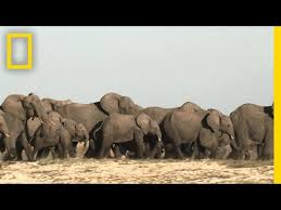 Hitler's Supernatural Rise to Power?