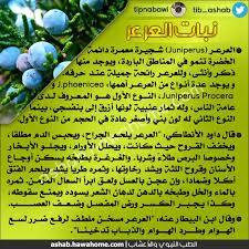 Pin By Zineb Benyelles On معلومة تهمك Natural Remedies Health Remedies