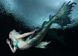 Image result for real mermaid