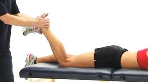 Put your affected leg about a step behind your other leg. Hamstring Strain Pulled Hamstring Sportsinjuryclinic Net