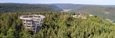 Our path takes us down and old gravel road as it rises gently through a deciduous forest, sprinkled with eastern hemlocks and rosebay rhododendrons. Treetop Walk Black Forest