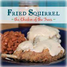 Check spelling or type a new query. Fried Squirrel Chicken Of The Trees Game Food Squirrel Food Recipes