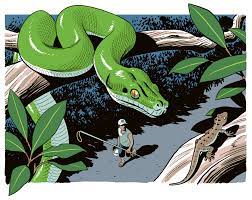 Best reptile and exotic animal store in kw region. That Python In The Pet Store It May Have Been Snatched From The Wild The New York Times