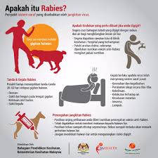 Poster Vaksin Kucing Google Nggoleki Anjing Penyakit Sistem Saraf