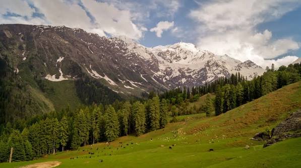 Great Himalayan National Park (Himachal)