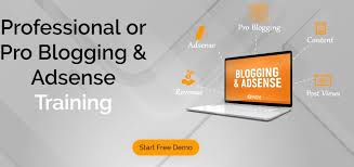 Adsense Course In Delhi Blogging Courses Marketing Courses Digital Marketing