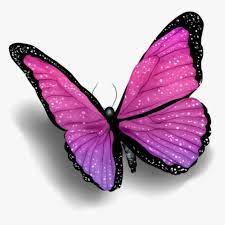 Grass with butterflies , pink butterfly on green grass illustration transparent background png clipart. Schmetterling Butterfly Rosa Purple Lila Pink Butterfly With Shadow Png Transparent Png Transparent Png Image Pngitem