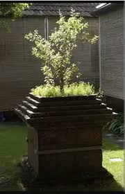 Thulasi Tulsi Pot Tulasi Plant Kerala House Design
