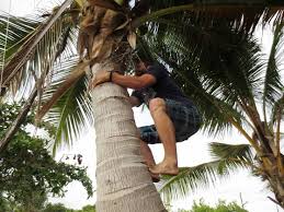 Visit Papua New Guinea