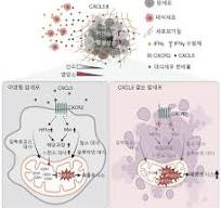생명과학과