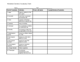 Mendelian Genetics Vocabulary Chart