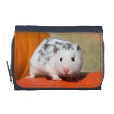 Black And White Syrian Hamster Cute Syrian Hamster White Black Spotted Funny Pet Wallet Zazzle Com Syrian Hamster Hamster Pet Gifts