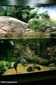 Ada Nature Aquarium Gallery Nature Aquarium Aquascape Design Aquascape Aquarium