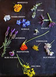 Crackers On The Couch Flowers For Breakfast Edible Flowers Recipes Flower Food Edible Plants