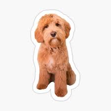 We did not find results for: Australian Family Gifts Merchandise Redbubble