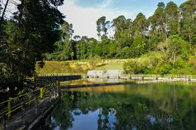Visita à Estação de Tratamento de Água com trilha pela Reserva Florestal  Morro Grande marca a estreia da Jornada do Patrimônio Cultural de Cotia -  Prefeitura de Cotia