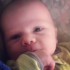 @ambyrosia's video Tweet