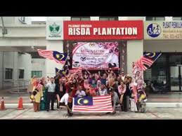 Sementra plantations sdn bhd (sp) is primarily involved in the oil palm plantation business with estates in gopeng and in tapah, perak. Risda Plantations Sdn Bhd Youtube