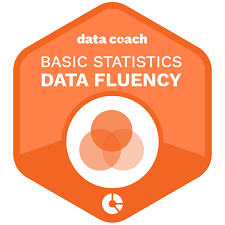 Data Fluency Basic Statistics