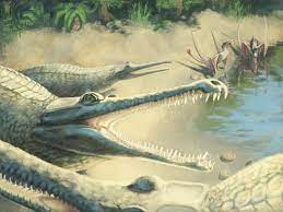 Доисторические крокодилы