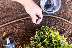 Automated sprinkler system anyone can do!: Diy Automatic Watering System For Plants Twofeetfirst