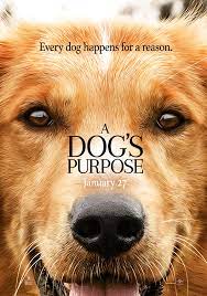 We did not find results for: A Dog S Purpose Movie Review The Medieval Times