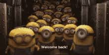 Welcome back from vacation funny images. Welcome Back Funny Gifs Tenor