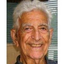 Mario Berardicurti Obituary (2011)