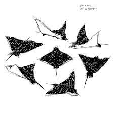 There are 134 eagle ray drawing for sale on etsy, and they cost $48.49 on average. Yerevan Dilanchian