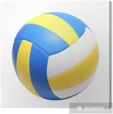 Choosing the right volleyball ball can be daunting. Leather Volleyball Ball Canvas Print Pixers We Live To Change