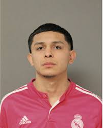 ᐅ Illinois Criminal Records 2009-2025